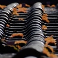 Impact of Roof Condition on Residential Appraisals