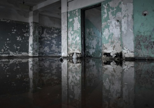 Restoring Homes And Values: How Water Damage Restoration Affects Residential Appraisals In Charleston