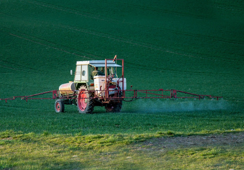 Protect Your Home with Accurate Appraisals and Pesticide Services