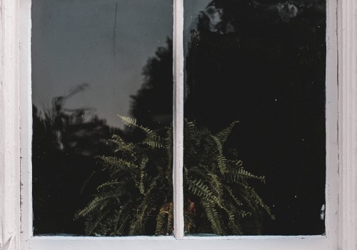 Boost Your Home's Value with Professional Window Installation
