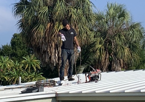 Raising The Bar: Tree Services In Pembroke Pines That Increase Residential Appraisals